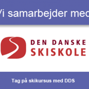 Den danske skiskole, www.aktivostrig.dk