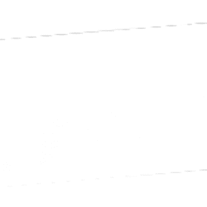 www.aktivostrig.dk