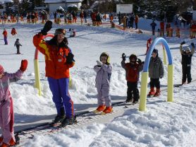 Seefeld, www.aktivostrig.dk