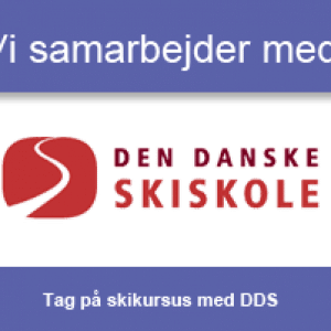 Den danske skiskole, www.aktivostrig.dk