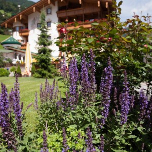 Landhotel Zenzerwirt, Hippach