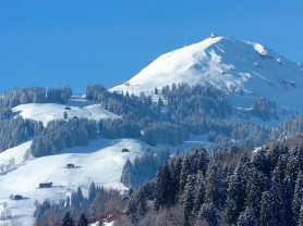 Brixen im Thale, Aktivøstrig.dk