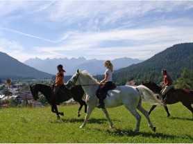 Seefeld, www.aktivostrig.dk