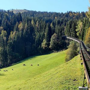 Alpine Coaster, Østrig, www.aktivostrig.dk