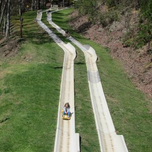 Alpine Coaster, Østrig, www.aktivostrig.dk