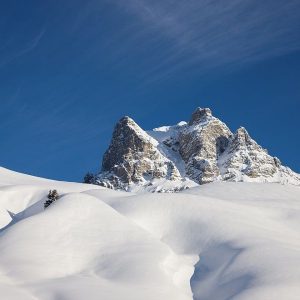 Warth, www.aktivostrig.dk