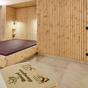 Hotel.gungau, Saalbach Hinterglemm -wwwaktivostrig.dk