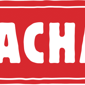 Flachau, www.aktivostrig.dk